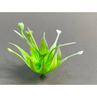 тыч колокольчика зелен75.012